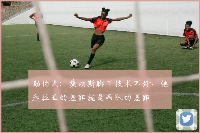 勒伯夫：桑切斯脚下技术不好，他和拉亚的差距就是两队的差距