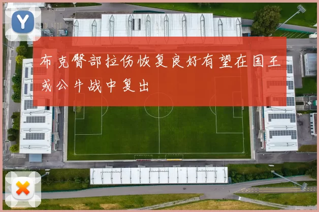 布克臀部拉伤恢复良好有望在国王或公牛战中复出